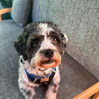 Photo of project „Adria Adriatik Fabric Upholstery“ #8