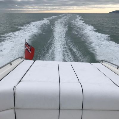 Photo of project „Shakespeare 650“ #7